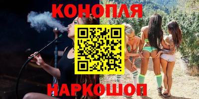 МДПВ Новозыбков