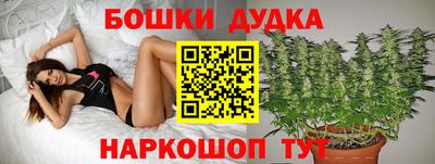 МДПВ Новозыбков