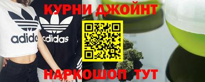 МДПВ Новозыбков
