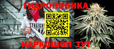 кристаллы Новодвинск
