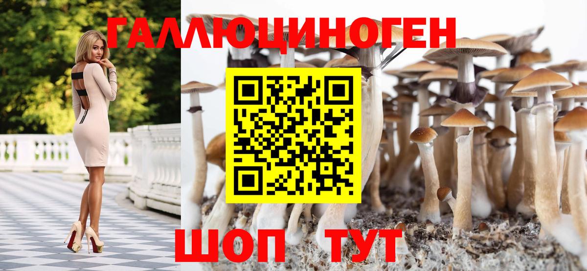 Псилоцибиновые грибы мицелий  Вход с VPN  Томск  Галлюциногенные грибы ЛСД 
